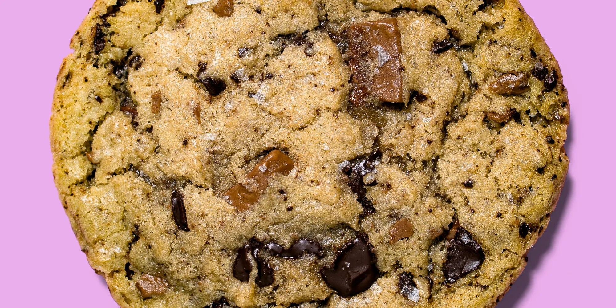 sourdough chocolate chip cookie